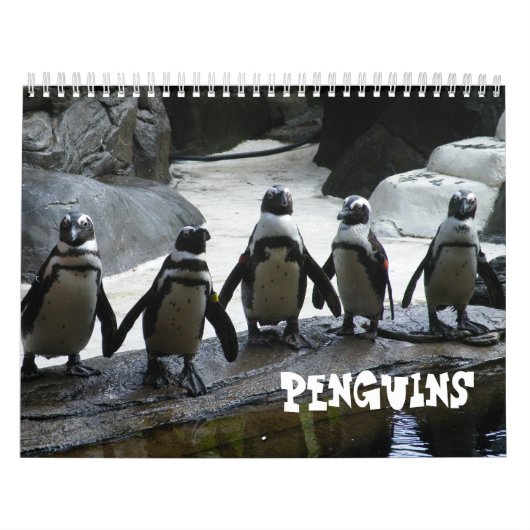 Penguin Calendar Kalender (Hoes)