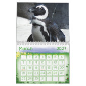 Penguin Calendar Kalender (Mar 2027)