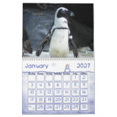 Penguin Calendar Kalender (Jan 2027)