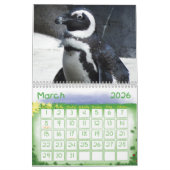 Penguin Calendar Kalender (Mar 2026)