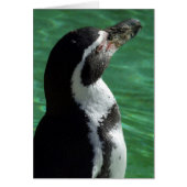 Penguin Card (Voorkant)