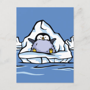 Penguin Chick Iceberg Post Card Briefkaart