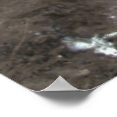 Penguin Closeup Poster (Hoek)