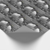 Penguin Colour Splash Cadeaupapier (Hoek)