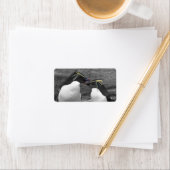 Penguin Colour Splash Etiket (Insitu)