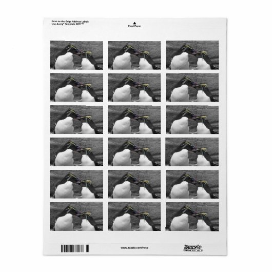 Penguin Colour Splash Etiket (Full Sheet)