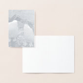 Penguin Colour Splash Folie Kaarten (Display)