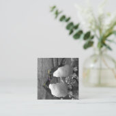 Penguin Colour Splash Informatiekaartje (Staand voorkant)