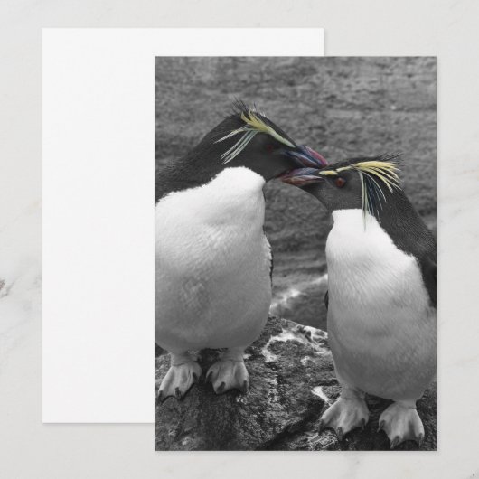 Penguin Colour Splash Kaart (Voorkant / Achterkant)