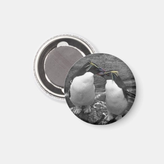 Penguin Colour Splash Magneet (Voorkant / Achterkant)