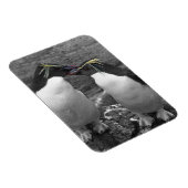 Penguin Colour Splash Magneet (Rechterzijde)