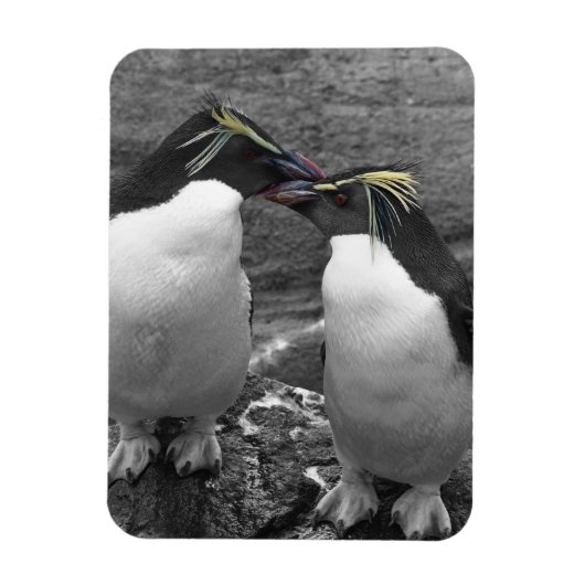 Penguin Colour Splash Magneet (Verticaal)