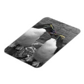 Penguin Colour Splash Magneet (Linkerzijde)