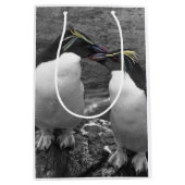 Penguin Colour Splash Medium Cadeauzakje (Voorkant)