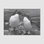 Penguin Colour Splash Tissuepapier (Voorkant)