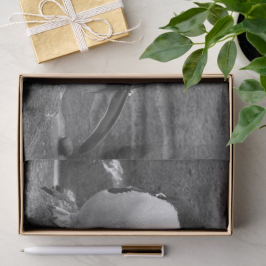 Penguin Colour Splash Tissuepapier (Geschenk)