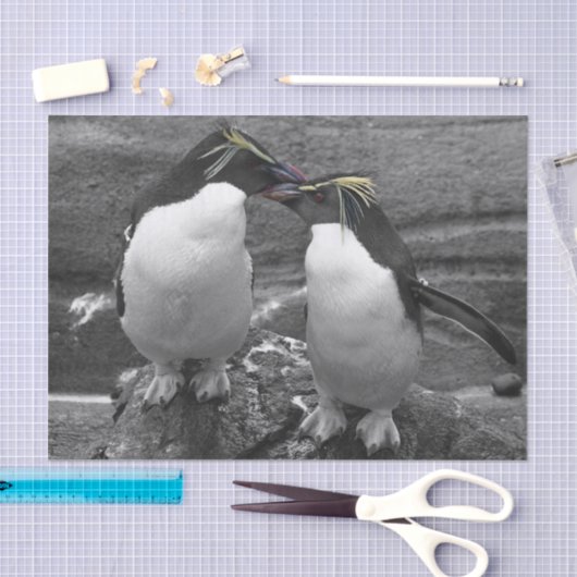 Penguin Colour Splash Tissuepapier (Craft)