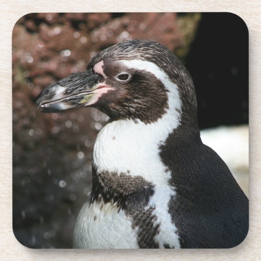 Penguin Cork Onderzetter set (Voorkant)