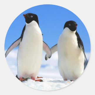 Penguin Couple Ronde Sticker