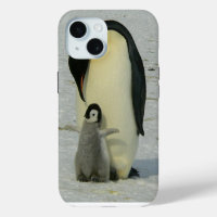 Penguin die naar Chick kijkt