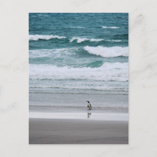 Penguin die terugkeert uit de oceaan briefkaart