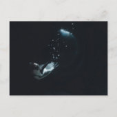 Penguin Dive Briefkaart (Voorkant)