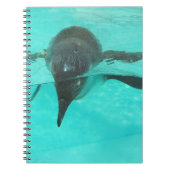 Penguin Diving Notitieboek (Voorkant)