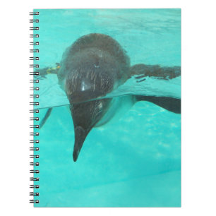 Penguin Diving Notitieboek