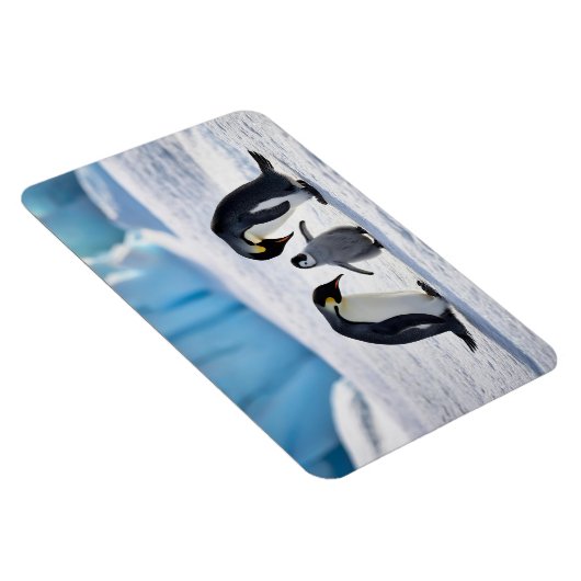 Penguin familie magneet (Rechterzijde)