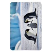 Penguin familie magneet (Verticaal)