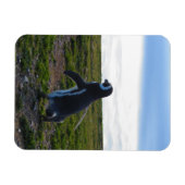 Penguin Flexible Magnet Magneet (Horizontaal)