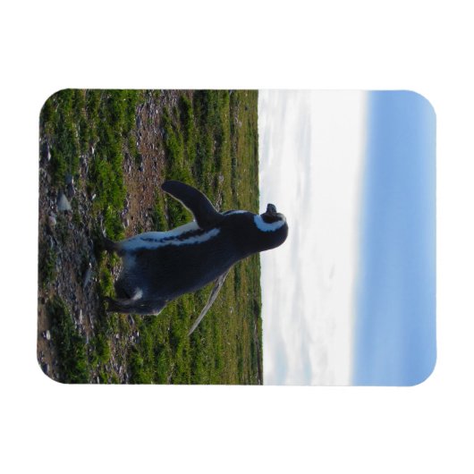 Penguin Flexible Magnet Magneet (Horizontaal)