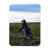 Penguin Flexible Magnet Magneet (Verticaal)