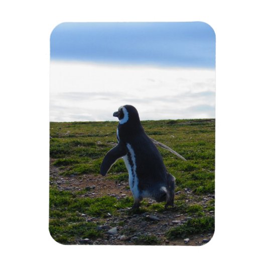 Penguin Flexible Magnet Magneet (Verticaal)
