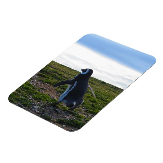 Penguin Flexible Magnet Magneet (Linkerzijde)