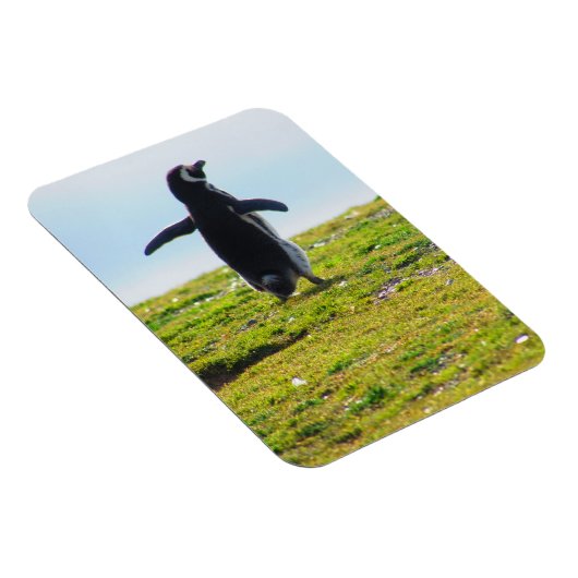 Penguin Flexible Magnet Magneet (Rechterzijde)