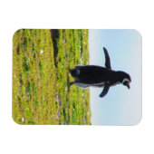 Penguin Flexible Magnet Magneet (Horizontaal)