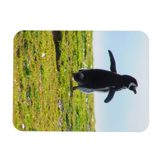 Penguin Flexible Magnet Magneet (Horizontaal)