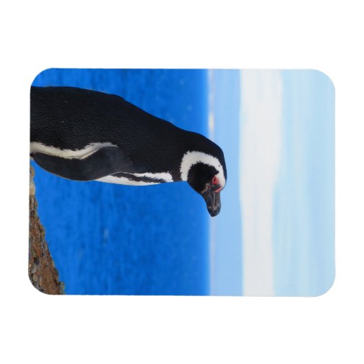 Penguin Flexible Magnet Magneet (Horizontaal)