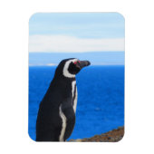 Penguin Flexible Magnet Magneet (Verticaal)