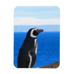 Penguin Flexible Magnet Magneet