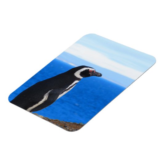 Penguin Flexible Magnet Magneet (Linkerzijde)