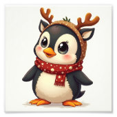 Penguin Foto Afdruk (Voorkant)