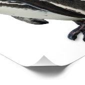 Penguin Foto Afdruk (Hoek)