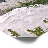 Penguin Friends Poster (Hoek)