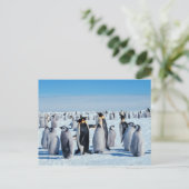 Penguin Gathering Briefkaart (Staand voorkant)