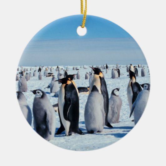 Penguin Gathering Keramisch Ornament (Voorkant)