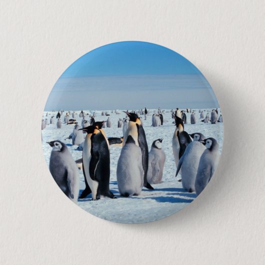 Penguin Gathering Ronde Button 5,7 Cm (Voorkant)