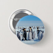 Penguin Gathering Ronde Button 5,7 Cm (Voorkant /achterkant)