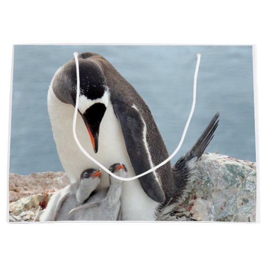 Penguin Groot Cadeauzakje (Voorkant)